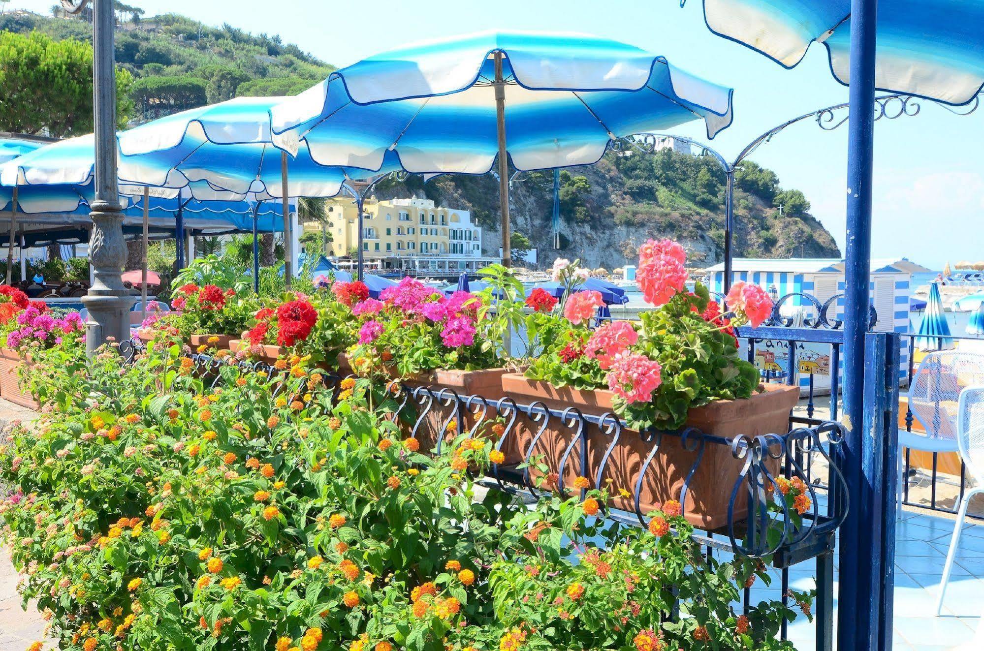 Hotel Terme Marina Lacco Ameno  Exterior photo